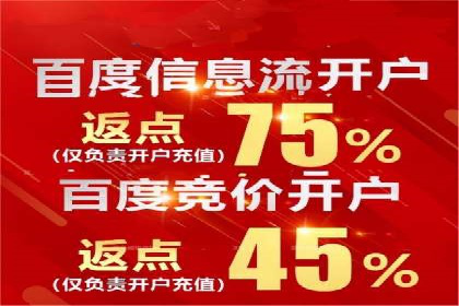 百度竞价赚钱的五大经典案例揭秘